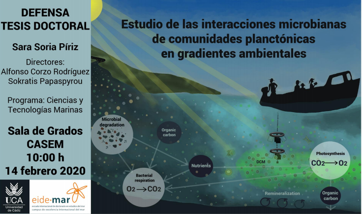 Defensa Tesis Doctoral “Estudio de las interacciones microbianas de comunidades planctónicas en gradientes ambientales” – Sara Soria Piriz